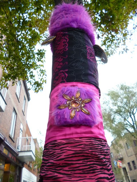 230880_217676225030201_1087649424_n