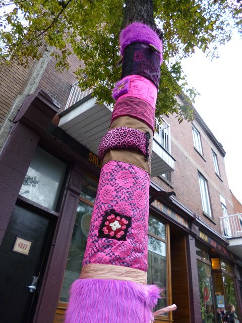 293816_217676201696870_1653153066_n