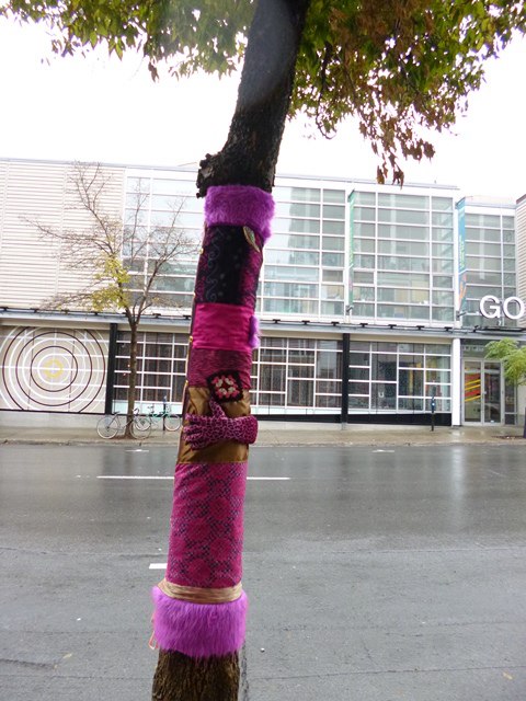 311284_217676171696873_330860136_n