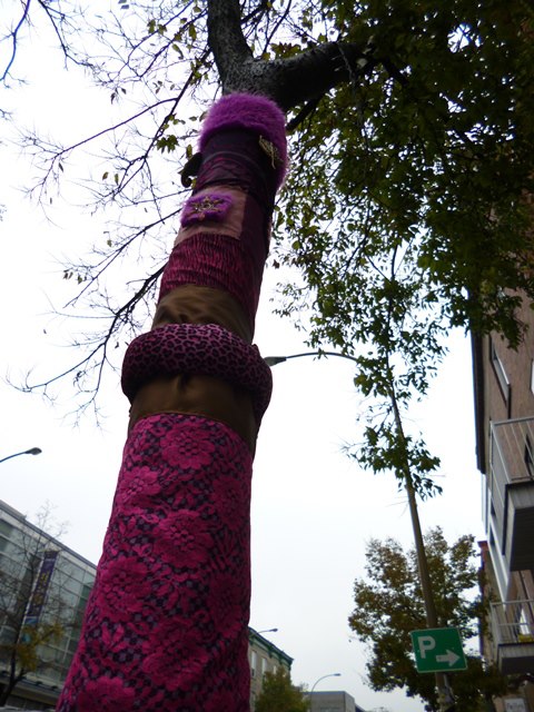 420799_217676355030188_419188033_n