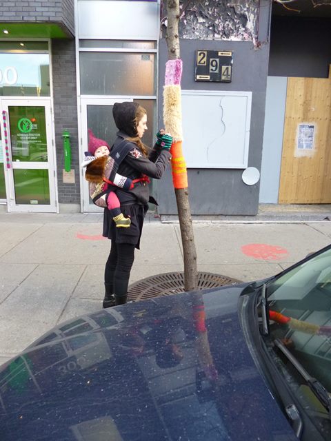 534072_232745290189961_25561230_n