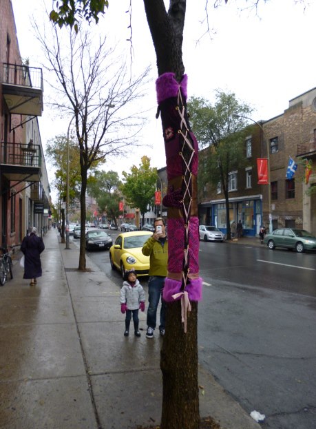 548504_217676145030209_1125119194_n