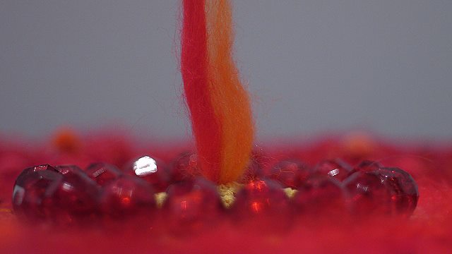 65203_291489207648902_1458796996_n