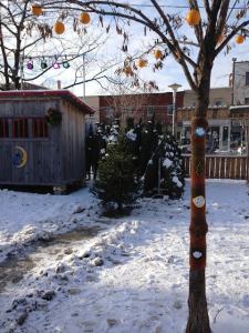 1465364_396717377126084_1709401816_n