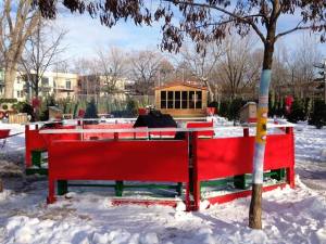 994660_396717297126092_979668683_n