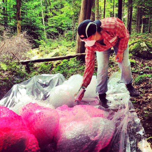 10421603_496890963775391_4124101316881734059_n