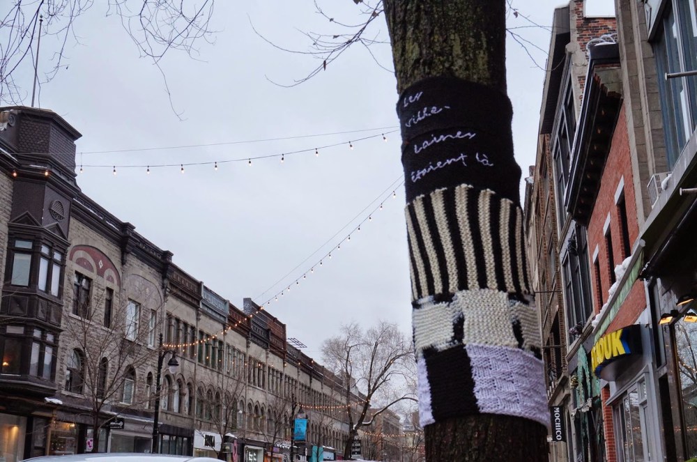 10849028_577789199018900_7535240596821718379_o